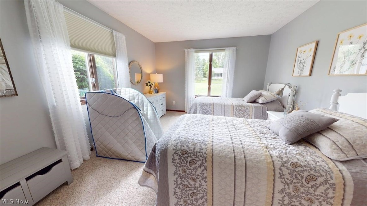 3985 Wiers Road Willard, OH 44890 - Photo 32 of 50 Carpeted interior space with neutral-toned walls