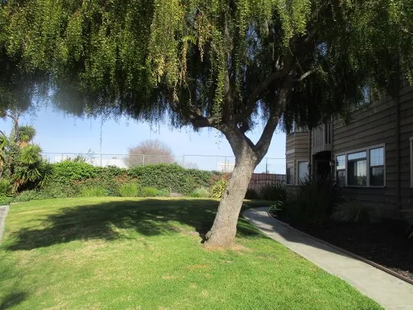 a view of backyard with green space