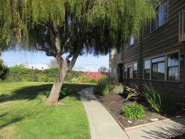 a view of a yard with plants