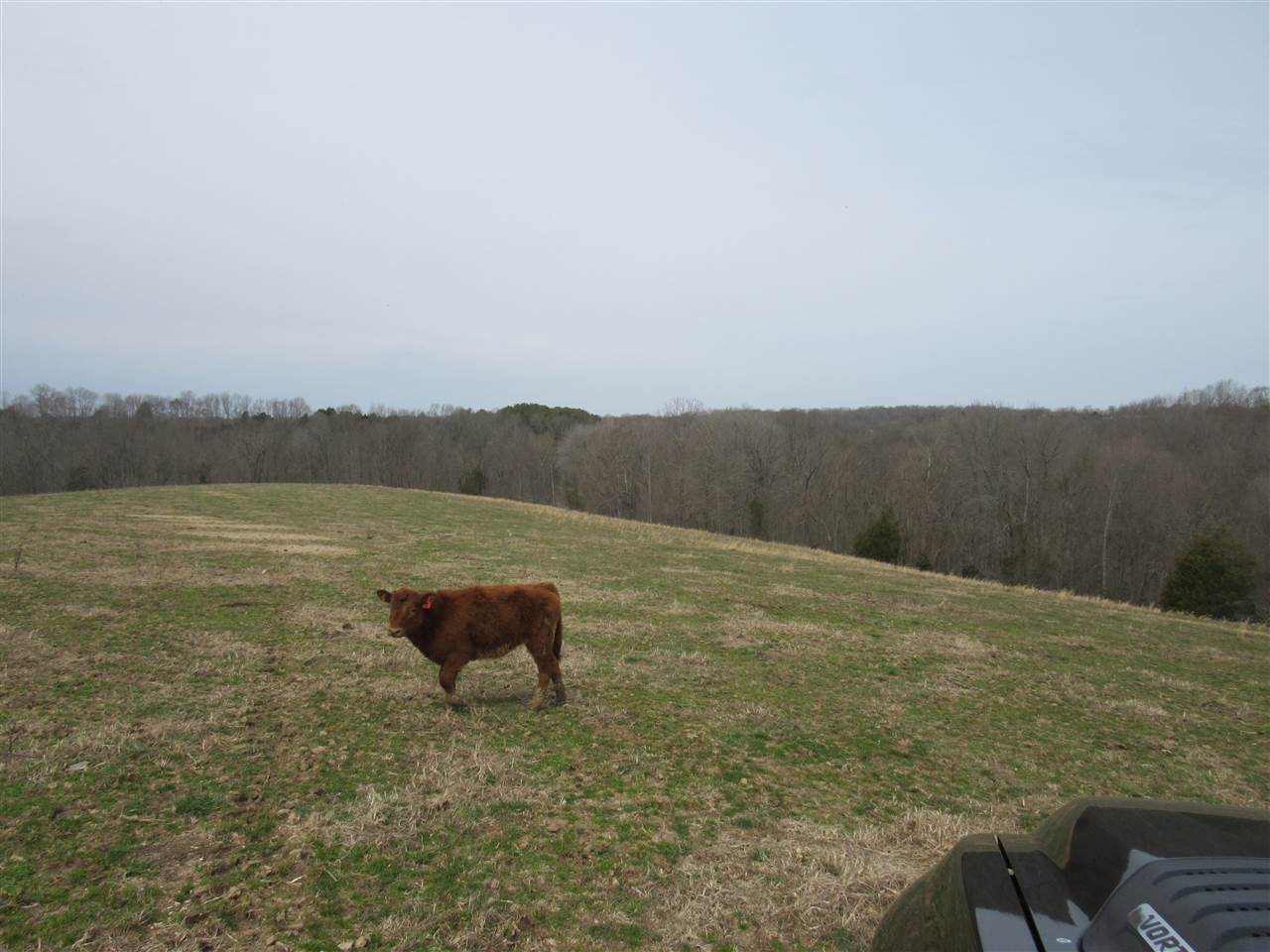9601 Capitol Hill Road Fountain Run, KY 42133 - Photo 3 of 12 Gallery Image 3