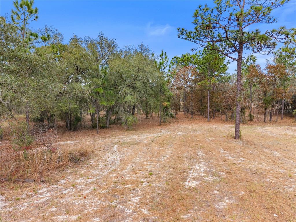 12251 Southeast 66th Place Morriston, FL 32668 - Photo 17 of 55 a view of outdoor space with tree s