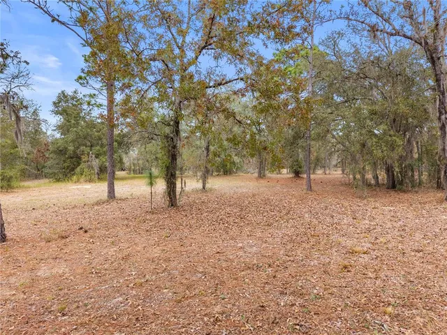 a view of dirt yard with a tree