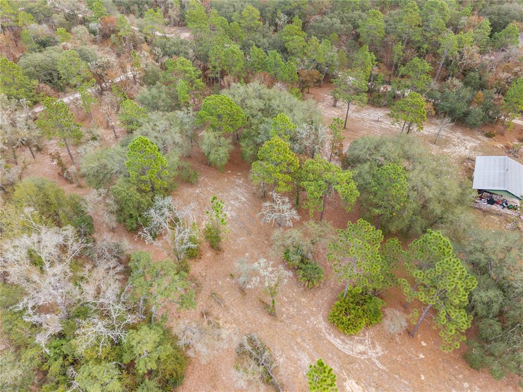 12251 Southeast 66th Place Morriston, FL 32668 - Photo 21 of 55 a aerial view of a houses with yard