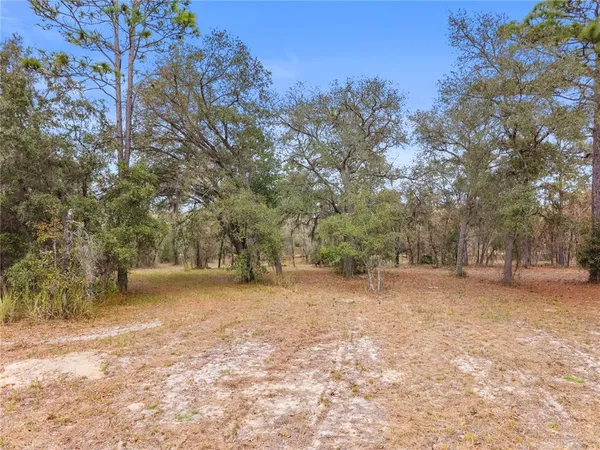 $400,000 | 12251 Southeast 66th Place, Morriston, FL 32668