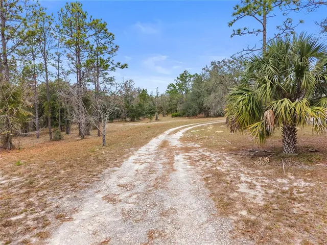 a view of a yard with a tree