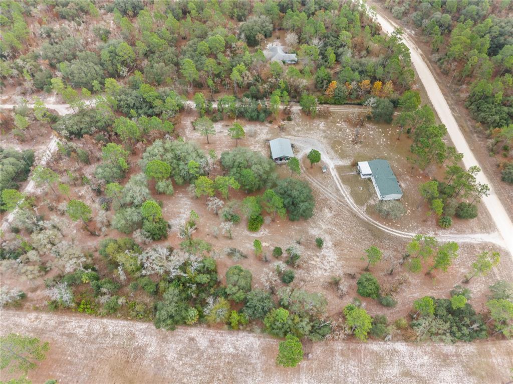 12251 Southeast 66th Place Morriston, FL 32668 - Photo 52 of 55 a view of a yard with a tree