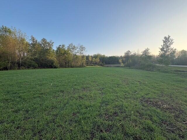 3775 16 Mile Road Marion, MI 49665 - Photo 36 of 55 wpp24