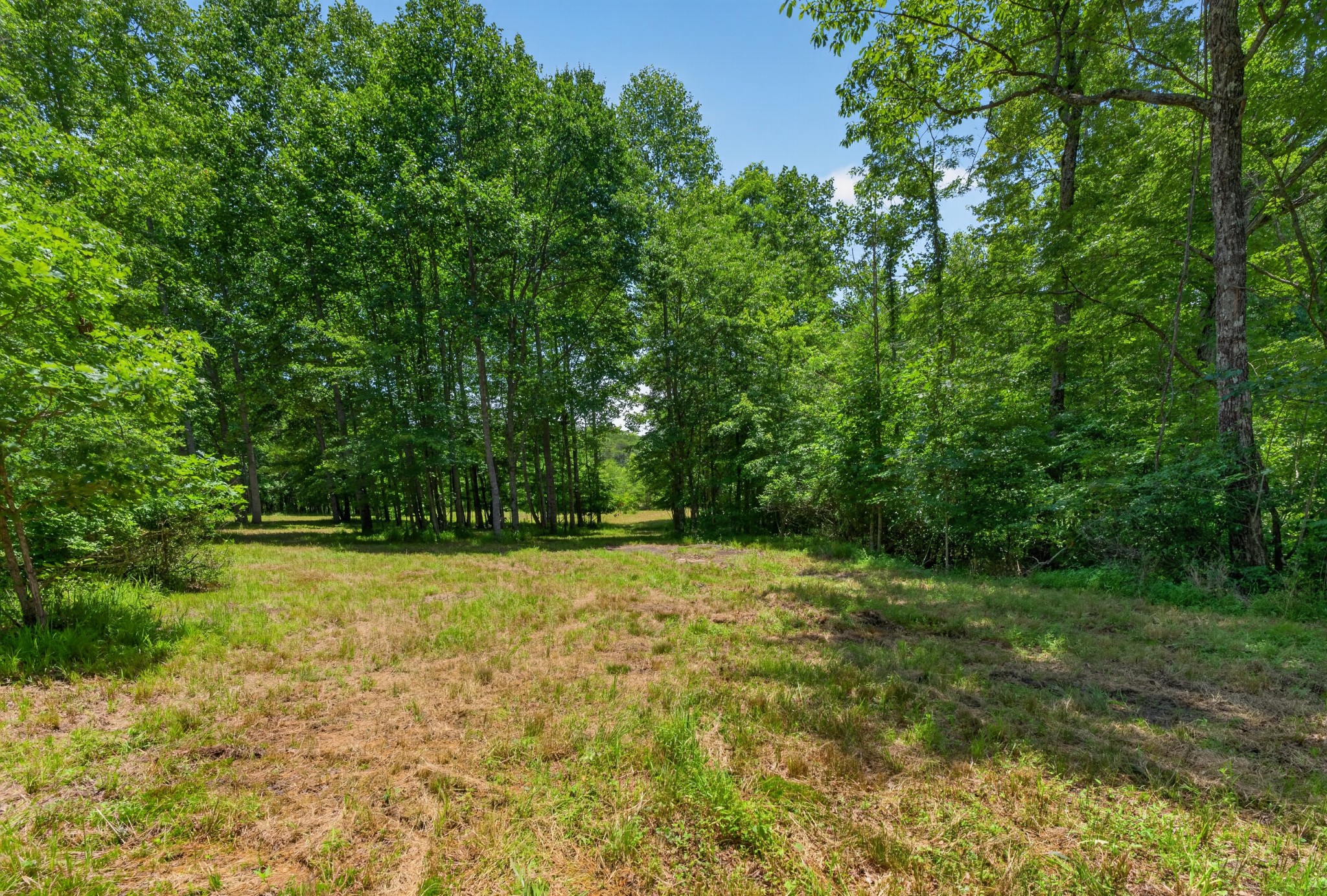 0 Monteagle Falls Road Monteagle, TN 37356 - Photo 6 of 17
