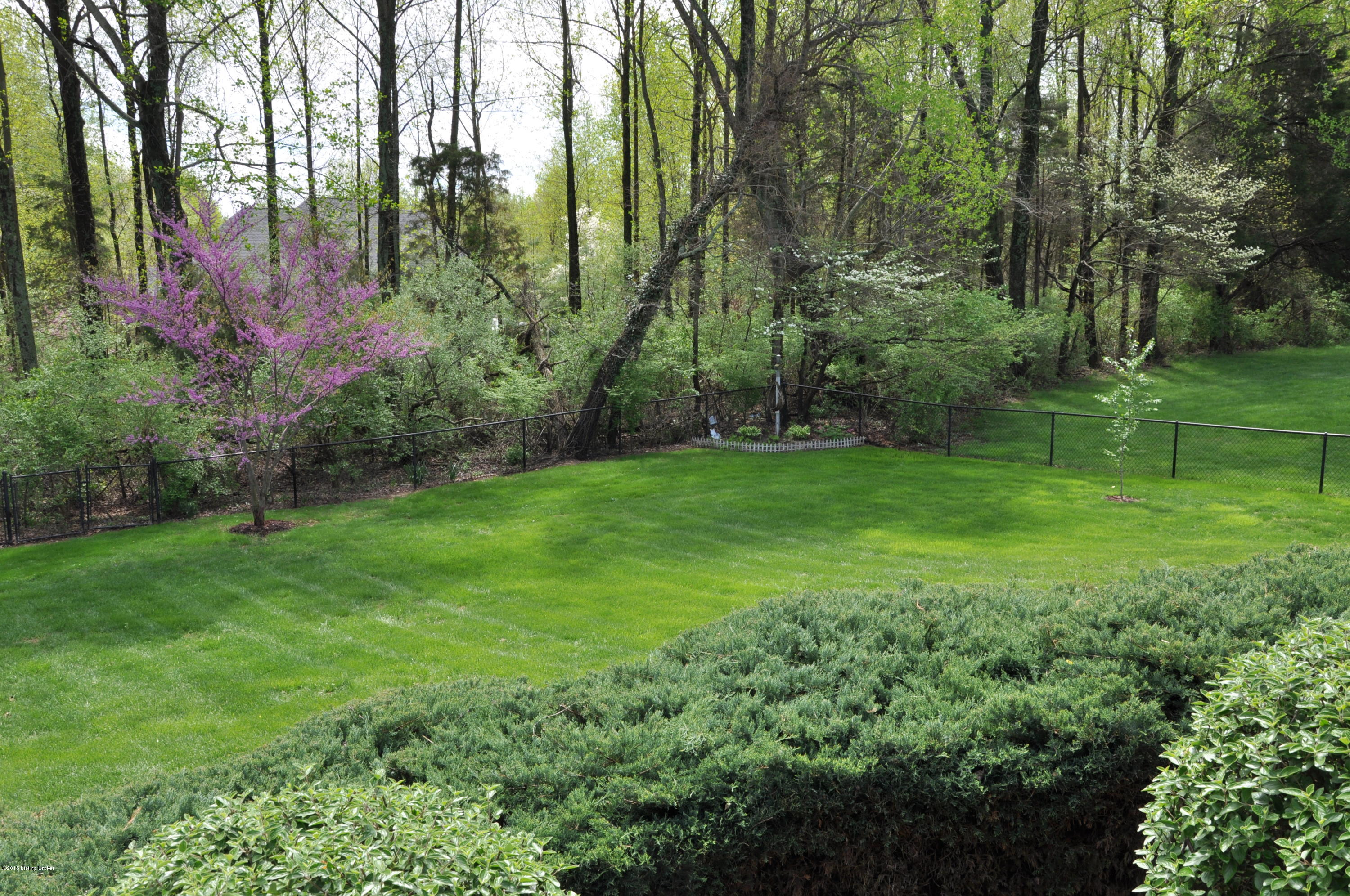 705 Foxfire Road Elizabethtown, KY 42701 - Photo 13 of 35 IMG_1319