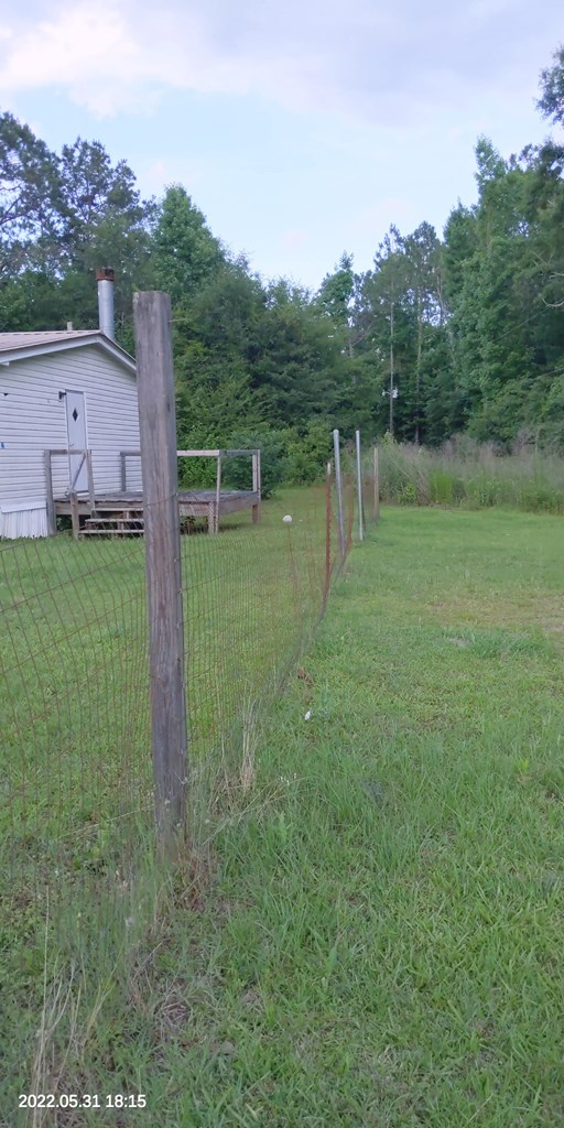 462 Bump Road Webb, AL 36376 - Photo 3 of 29