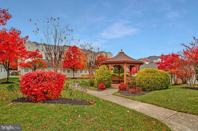 a view of a back yard of the house