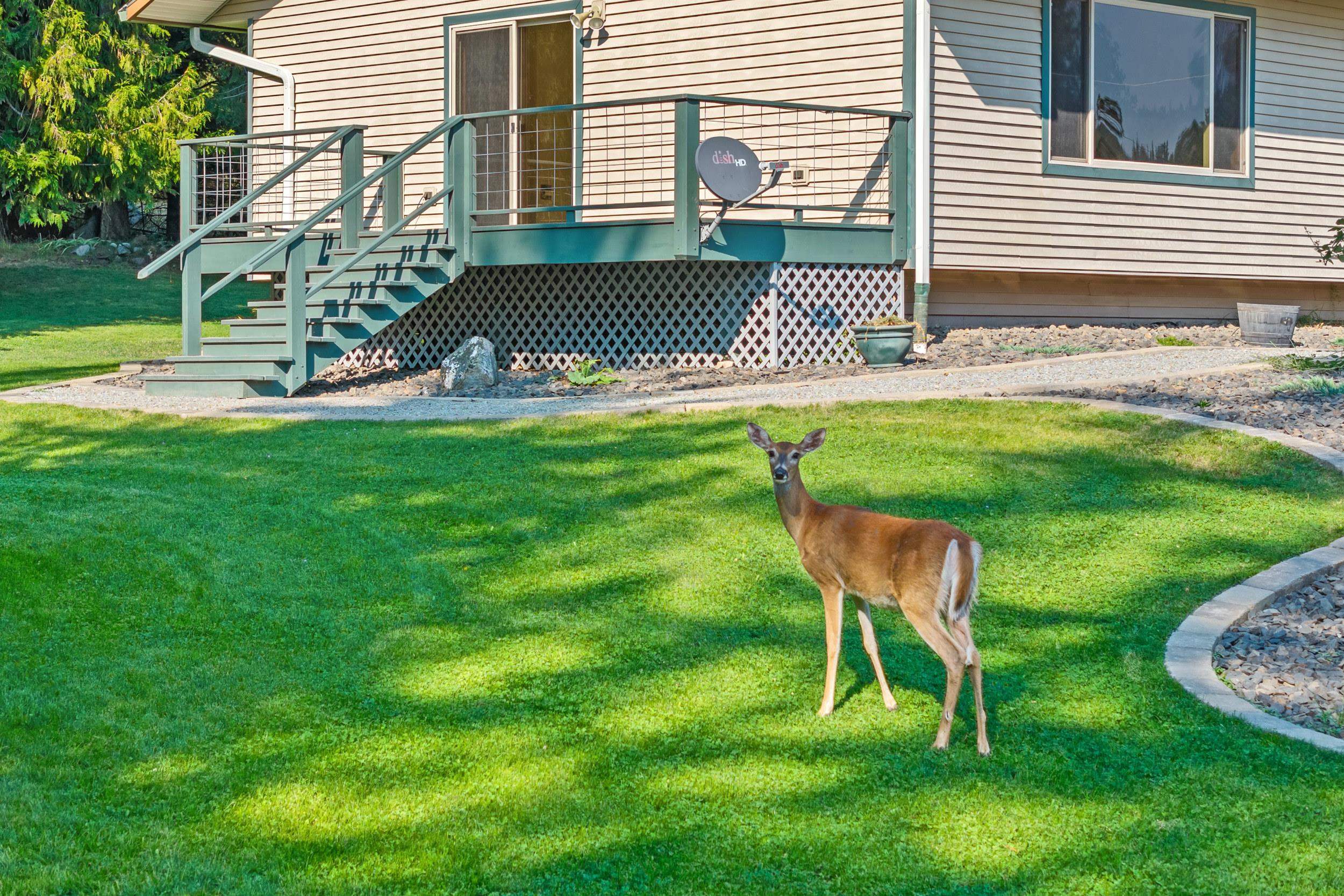 1702 Eastside Road Priest River, ID 83856 - Photo 44 of 50