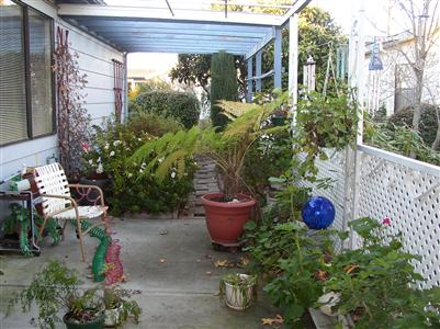 1945 Piner Road, Unit 70 Santa Rosa, CA 95403 - Photo 5 of 6 a view of a backyard with patio