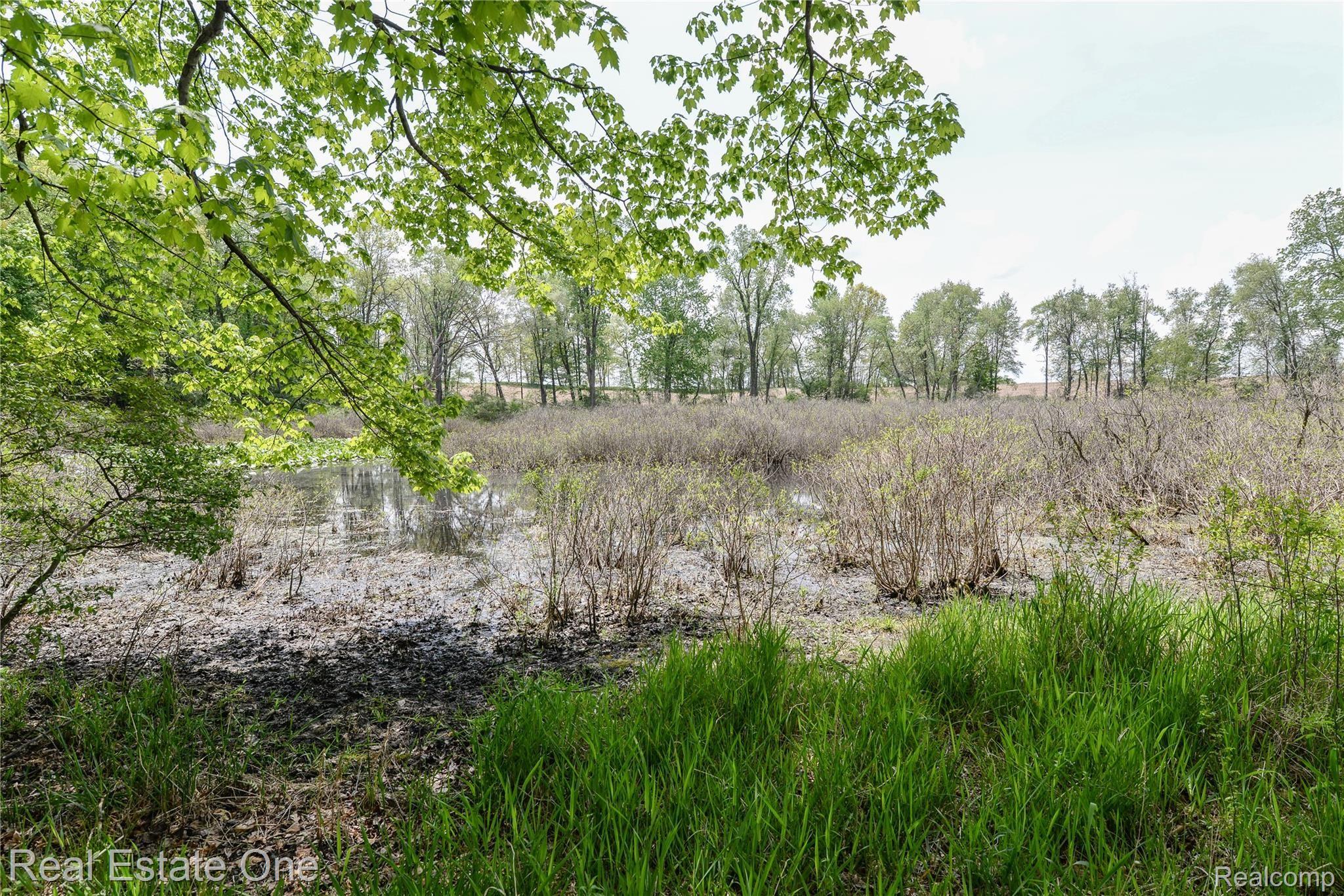 19373 Spears Road Gregory, MI 48137 - Photo 40 of 42 DSC_3169.jpg
