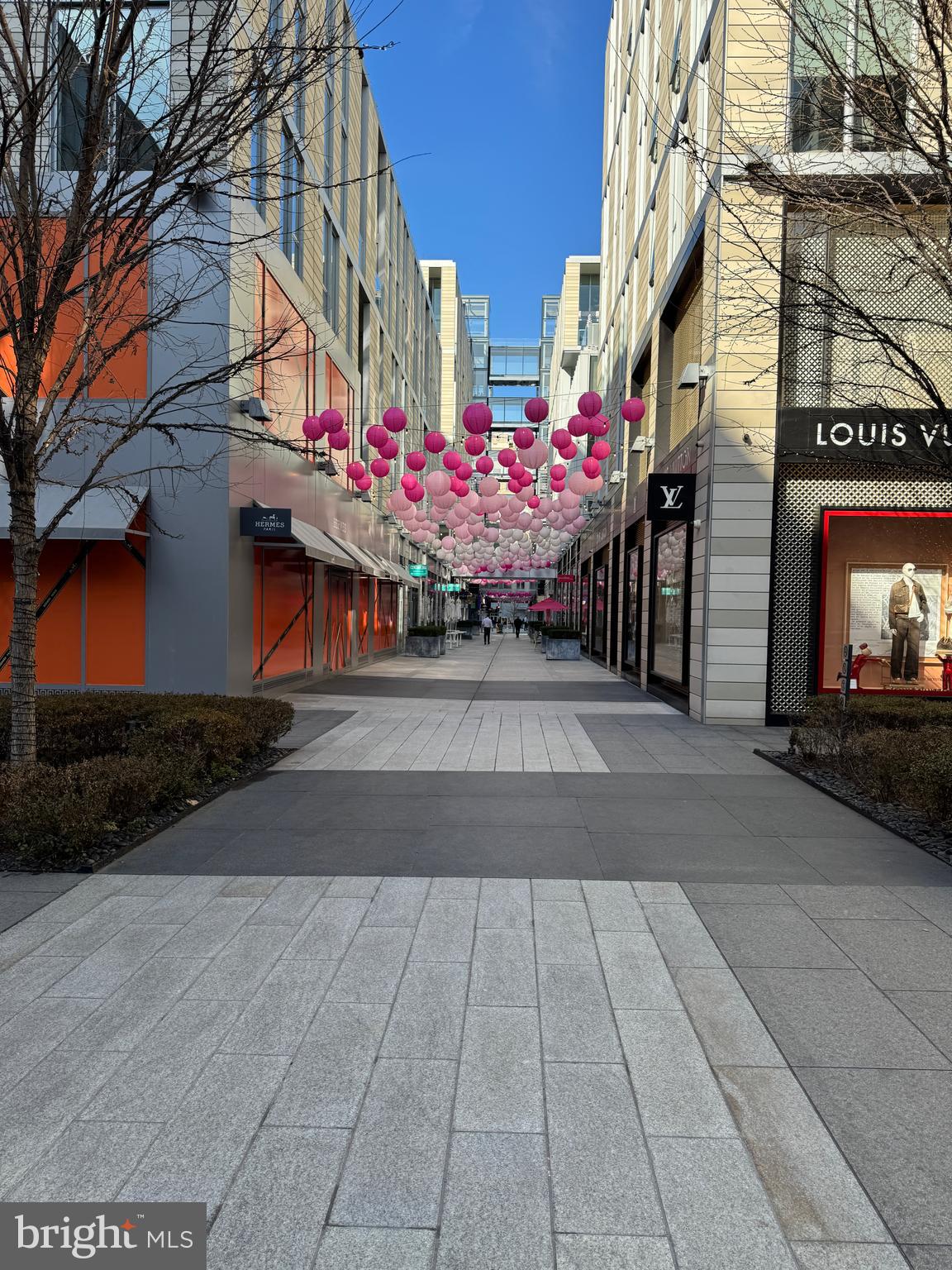 920 I Street Northwest, Unit 504505 Washington, DC 20001 - Photo 16 of 17 a view of street with flower on side of it
