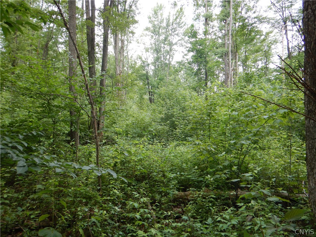 Bull Hill Road Newfield, NY 14867 - Photo 35 of 36