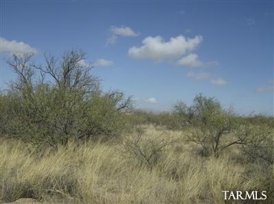 35 Jackrabbit Rd Street, Unit 35 St. David, AZ 85630 - Photo 4 of 5