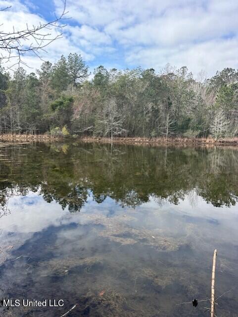 15538 Touriel Road Gulfport, MS 39503 - Photo 8 of 9 Pond 5