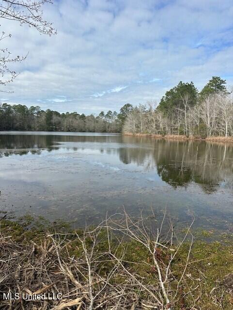15538 Touriel Road Gulfport, MS 39503 - Photo 9 of 9 Pond