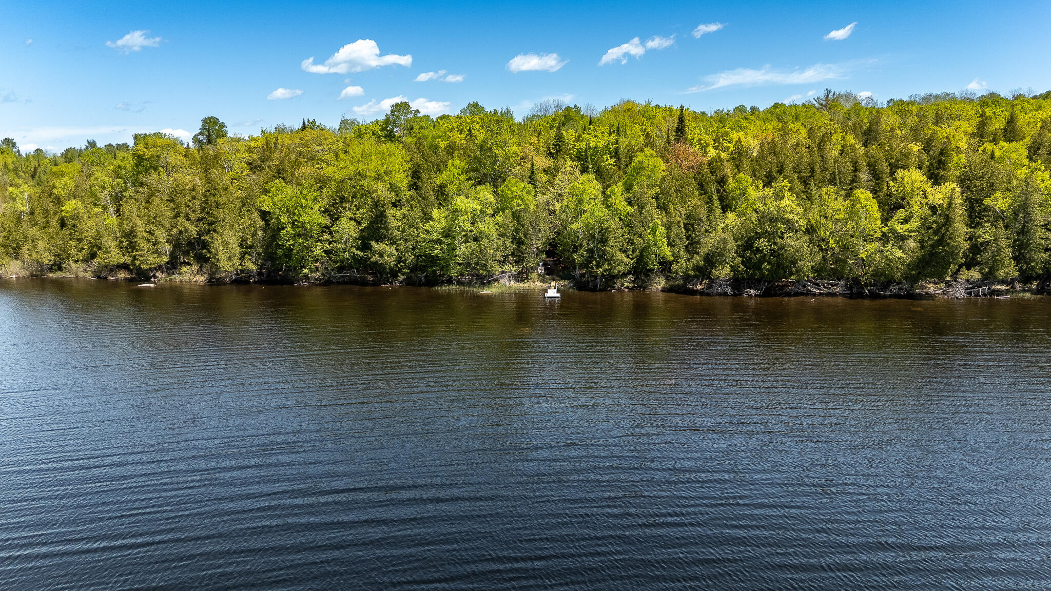 87 North Dexter Road Sangerville, ME 04479 - Photo 76 of 98 DJI_20260526121430_0415_D