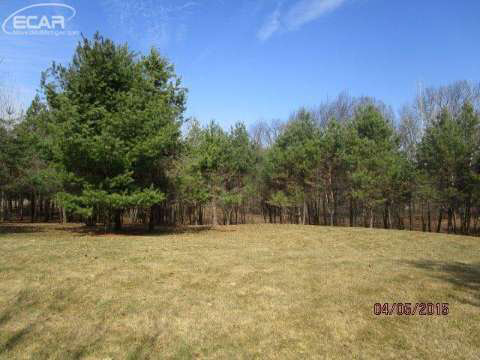 18420 Tipsico Lake Road Fenton, MI 48430 - Photo 17 of 48 20435207-16.JPG