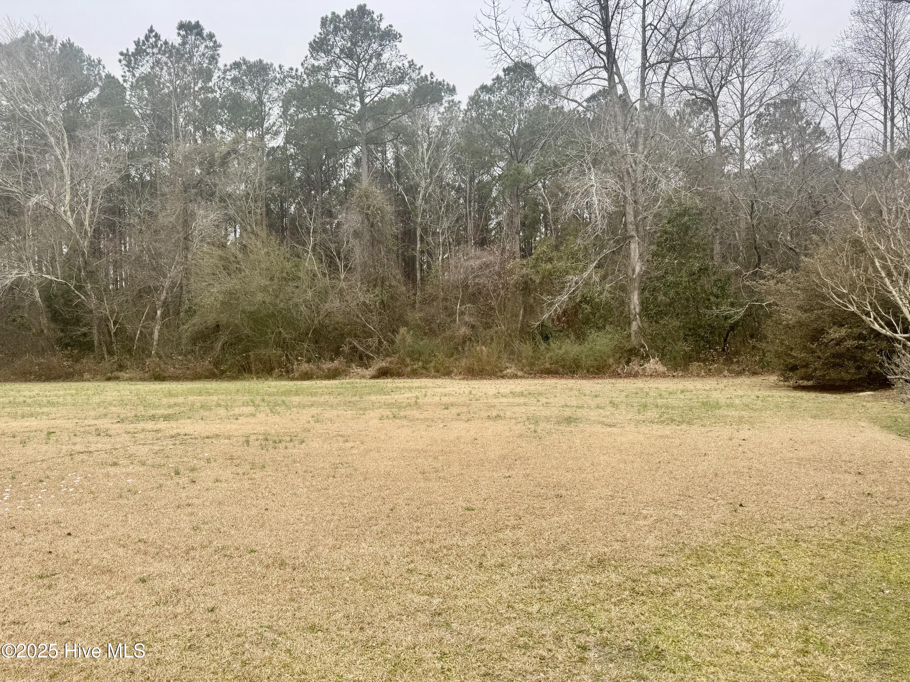 447 Ben Williams Road Jacksonville, NC 28540 - Photo 18 of 21 IMG_2114