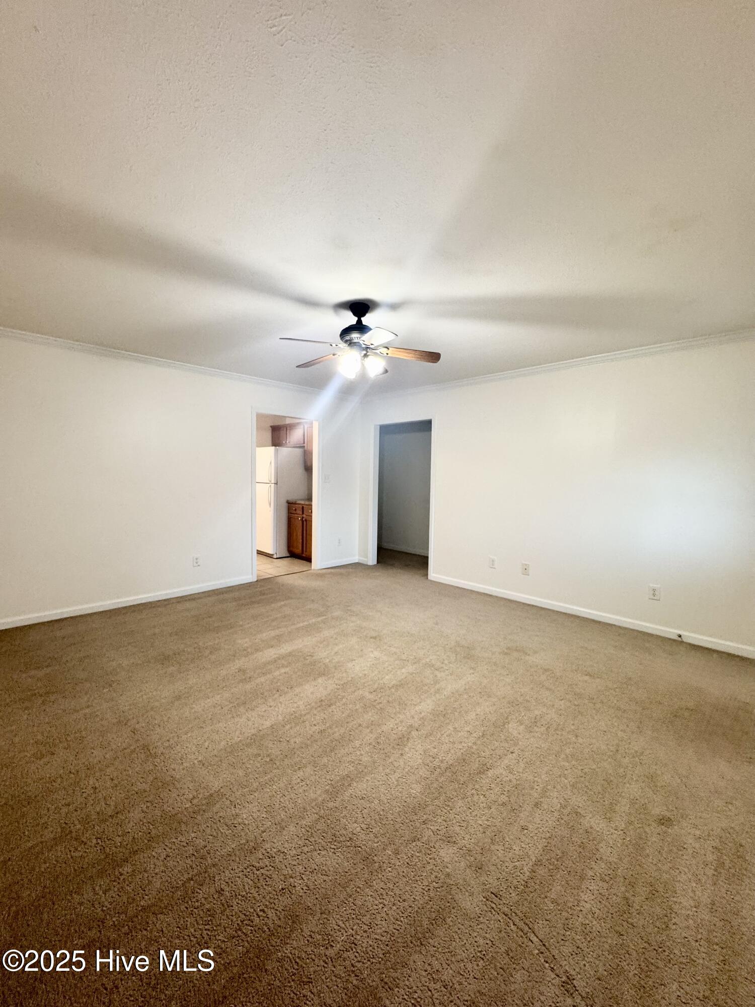 447 Ben Williams Road Jacksonville, NC 28540 - Photo 2 of 21 IMG_2145 (1)