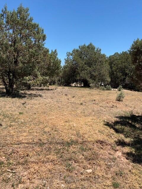 Lot 46 Park Road Payson, AZ 85541 - Photo 1 of 6 pic6