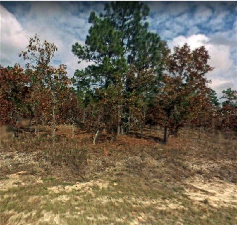 Northwest Tamarind Lane Dunnellon, FL 34431 - Photo 1 of 1 Gallery Image 1