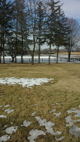 1206 Main St Road Spring Grove, IL 60081 - Photo 4 of 4