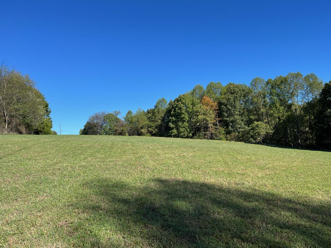 0 Roberts Road Goodlettsville, TN 37072 - Photo 8 of 11 Gallery Image 8
