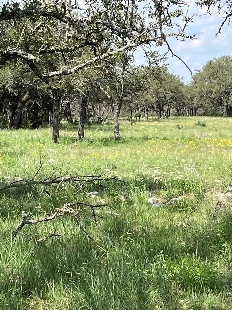 24 Fm 1674 Junction Junction, TX 76849 - Photo 7 of 28 Gallery Image 7