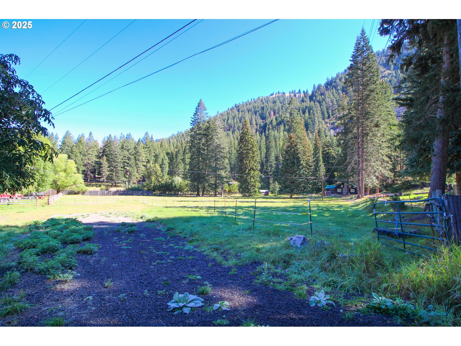 Meadow Lane Joseph, OR 97846 - Photo 3 of 10 a view of swimming pool and a yard