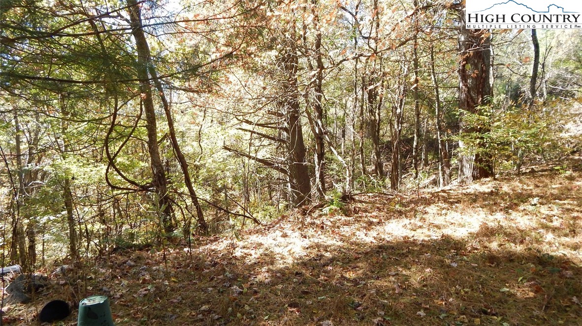 Ridge Rd Road Boone, NC 28607 - Photo 2 of 6 Gallery Image 2