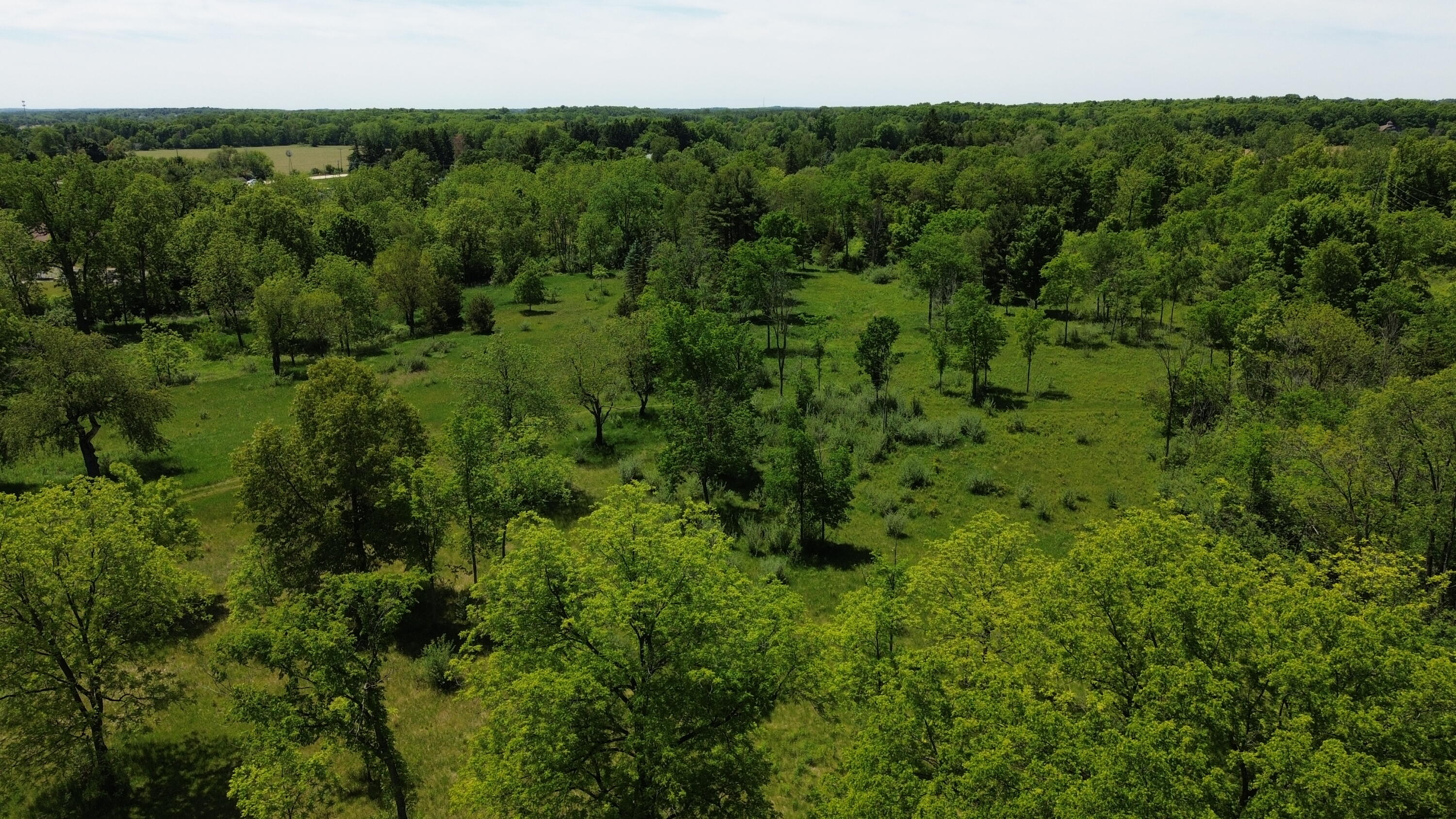 Travis Pointe Road Ann Arbor, MI 48108 - Photo 23 of 34 DJI_0132