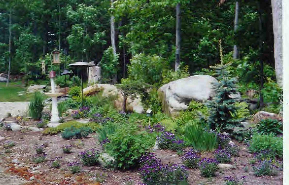 112 Hammertown Road Sandisfield, MA 01255 - Photo 7 of 8 a view of a garden with potted plants and large trees