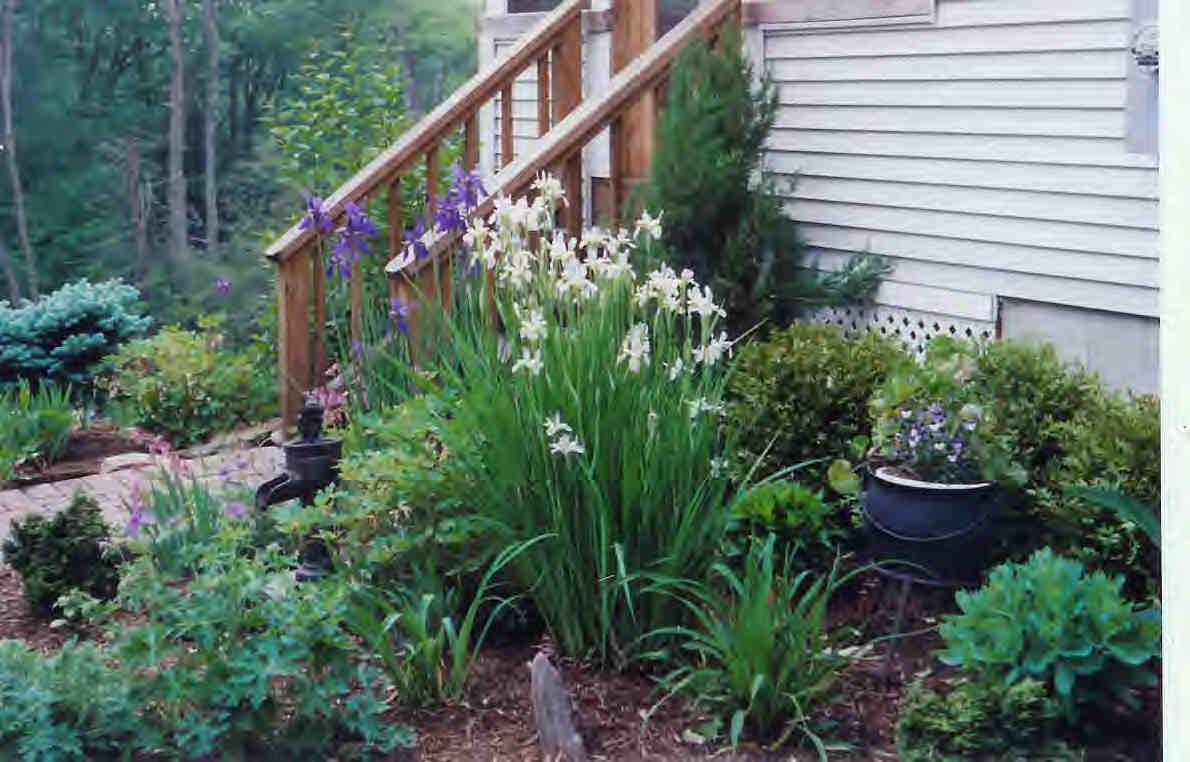 112 Hammertown Road Sandisfield, MA 01255 - Photo 8 of 8 a view of a potted plants on a roof deck