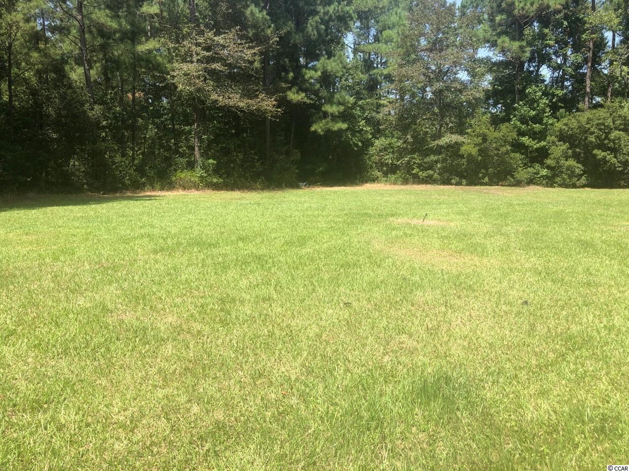 1267 Daisy Road Loris, SC 29569 - Photo 3 of 4 Gallery Image 3