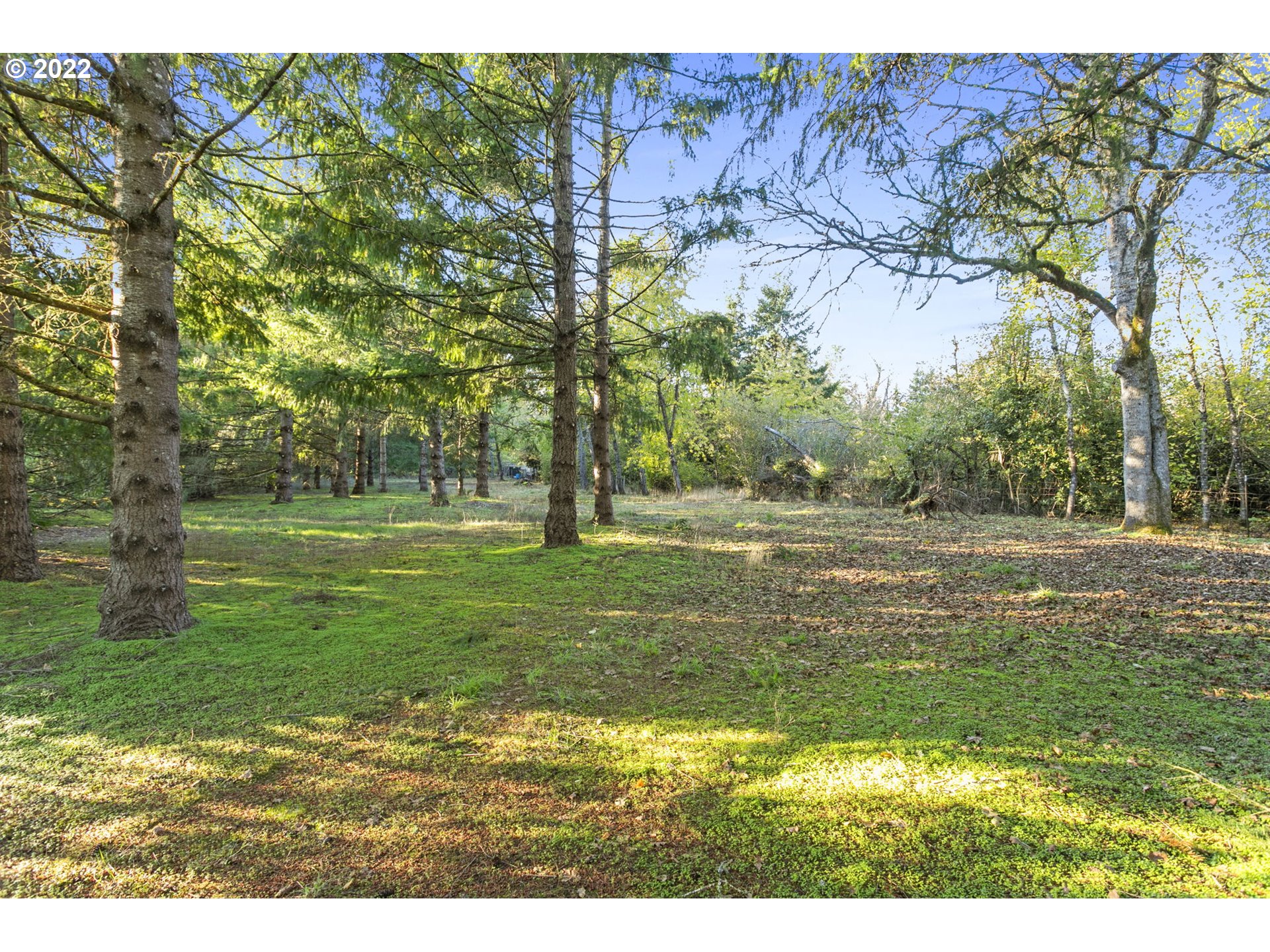 10947 Beutel Road Oregon City, OR 97045 - Photo 27 of 30 Gallery Image 27