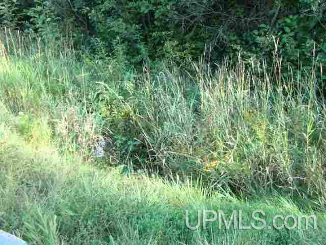 V-wi Wi 54536 Upson, WI 54565 - Photo 6 of 9