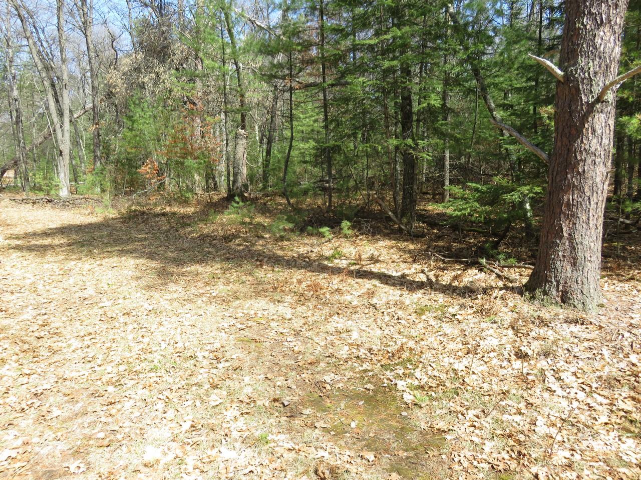 6948 Military Road Three Lakes, WI 54562 - Photo 5 of 13 Gallery Image 5