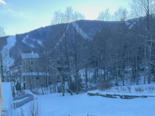 205 Mountainside Drive, Unit 35 Warren, VT 05674 - Photo 29 of 33