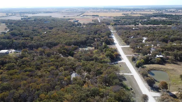 a view of a yard with a trees