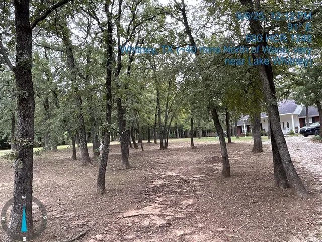 a view of outdoor space with lots of trees