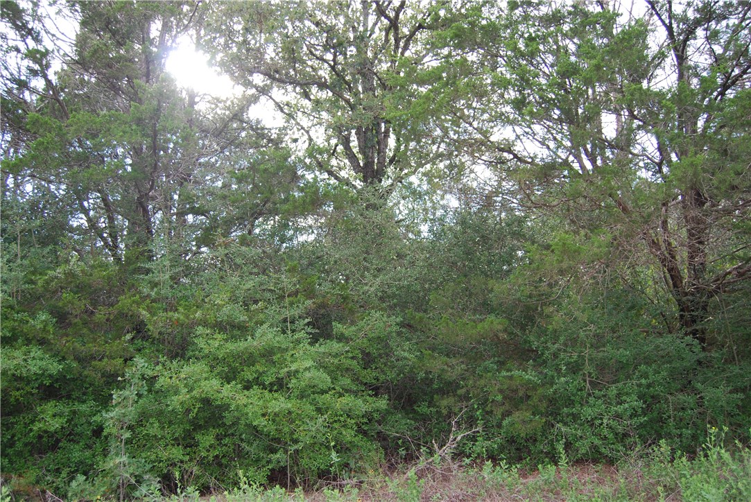 0 Dickerson Lane Elgin, TX 78621 - Photo 1 of 1