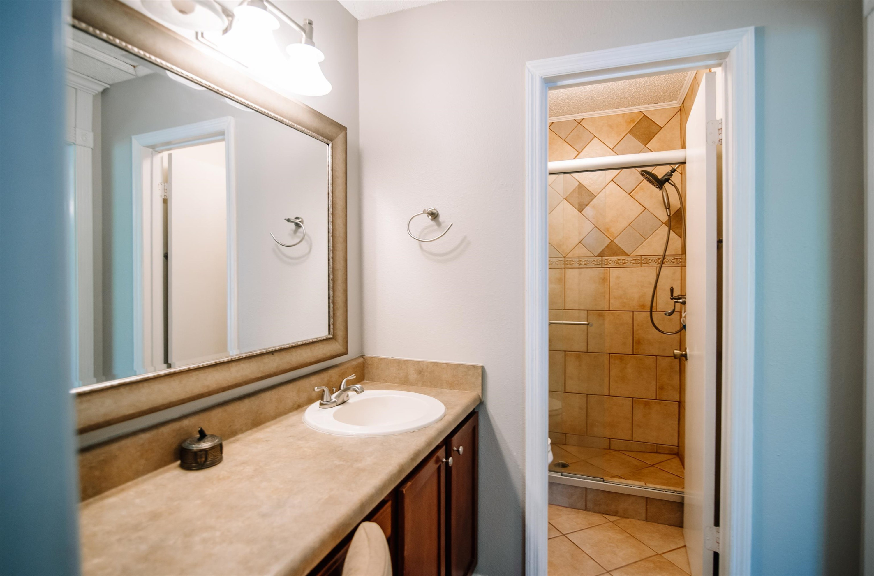 7633 Falcon Rest Circle, Unit 7633 Raleigh, NC 27615 - Photo 20 of 28 Master Bath/Spa