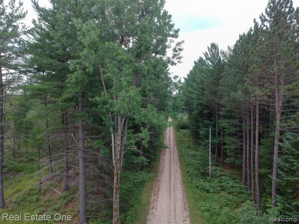 0 South Morrison Road West Branch, MI 48661 - Photo 24 of 38