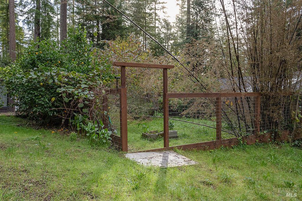 46151 Pacific Woods Road Gualala, CA 95445 - Photo 18 of 25 a view of a yard in front of a house with a large trees