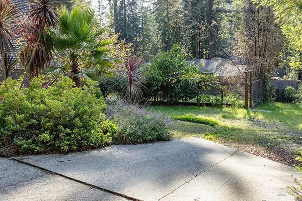 a view of a yard with a wooden fence