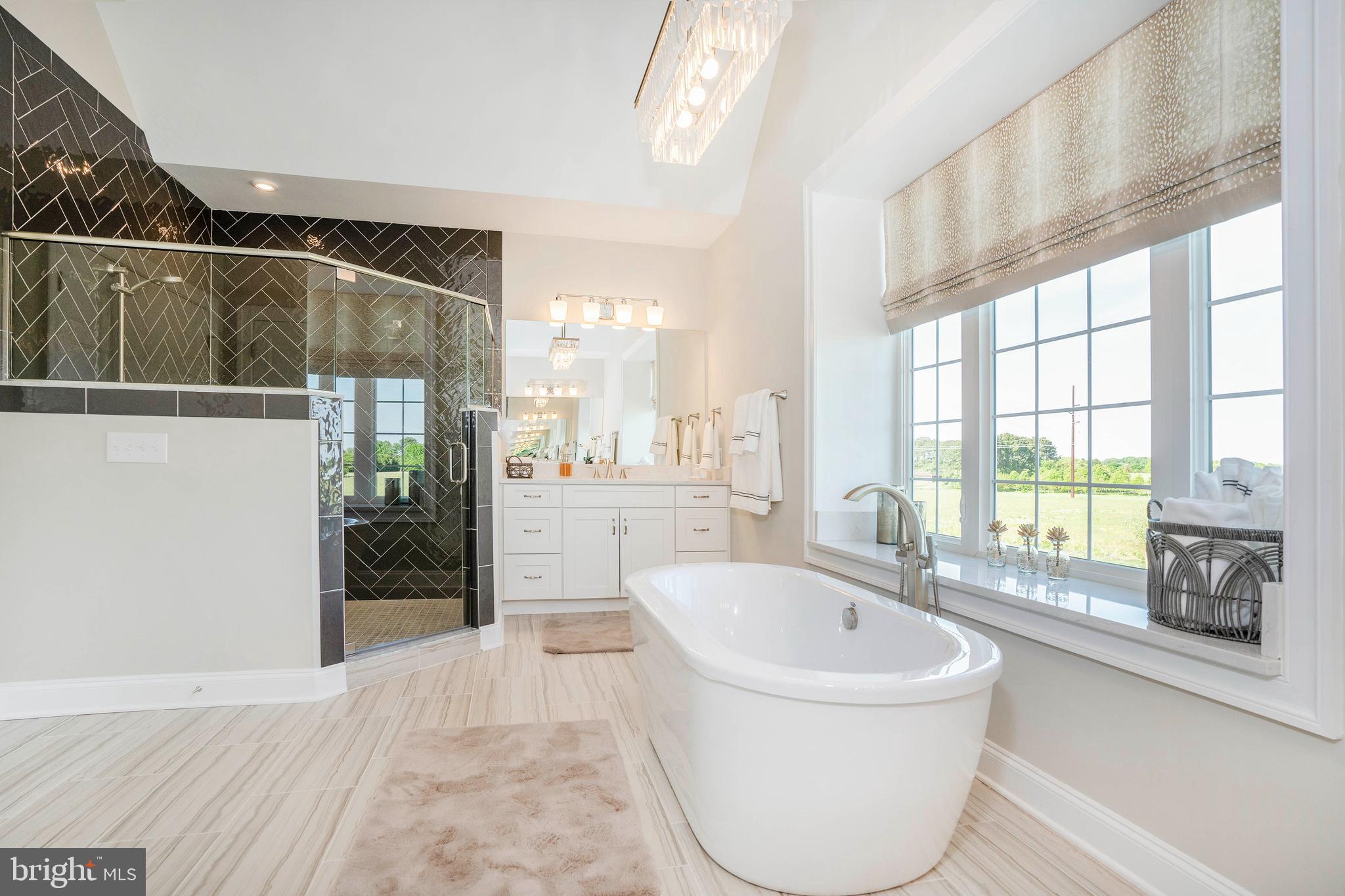 273 Abbotsford Road, Unit PLAZA Middletown, DE 19709 - Photo 36 of 68 Owner's Bathroom